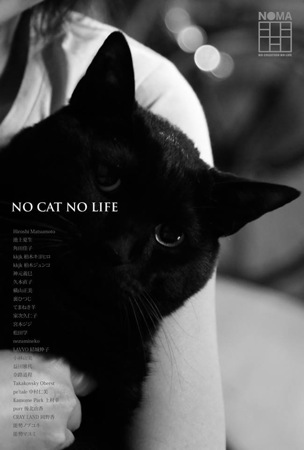 PHOTO: NO CAT NO LIFE 〜大人の猫まつり